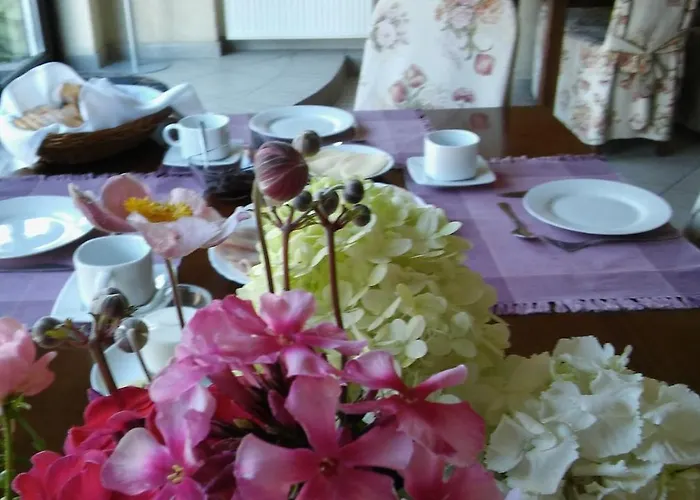 Bed & Breakfast Kaprys Kudowa Zdroj